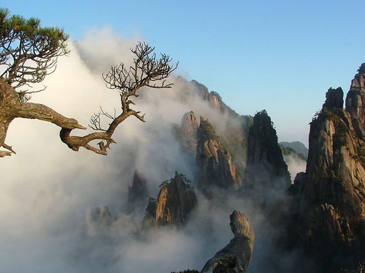 Huangshan Hiking Tour