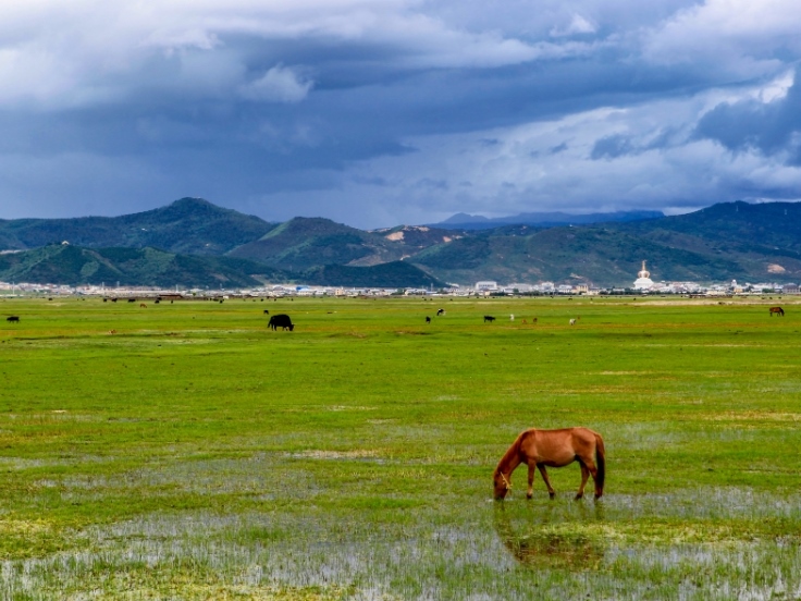 Lijiang and Shangri-La Minority Paradise Tour