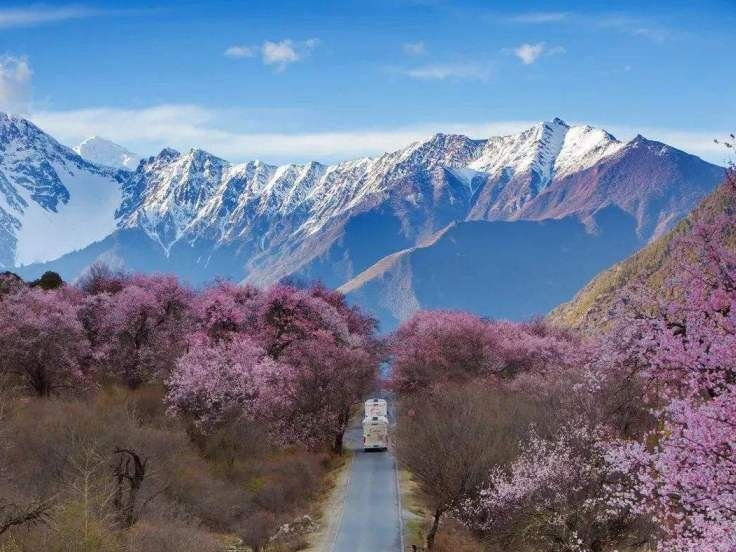 Tibet Nature Kingdom Tour