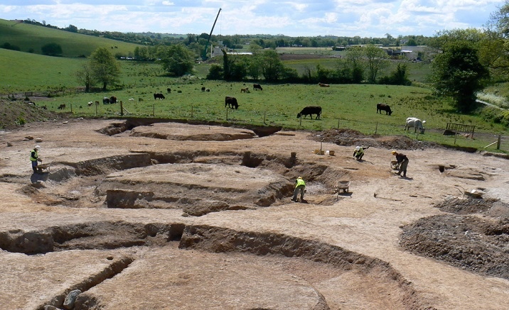 The millet remains found at Qujialing site in Hubei Province