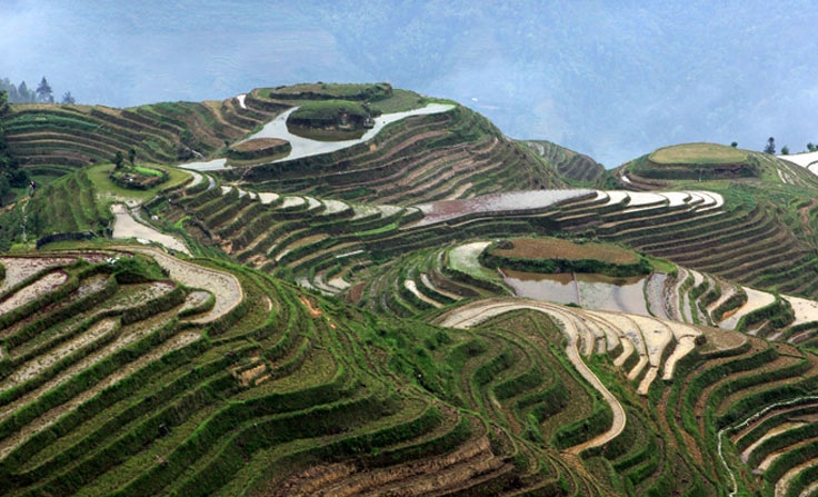  Rice Terraces