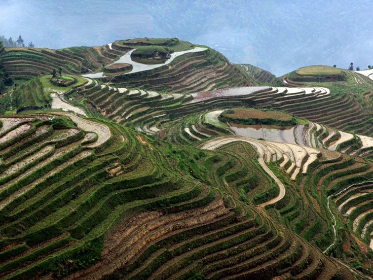 Rice Terraces Rice Terraces