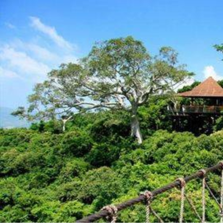 Yalong Bay Tropical Paradise Forest Park