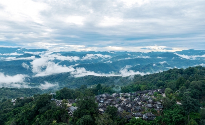 Old Tea Forests of the Jingmai Mountain in Pu’er named World Heritage Site
