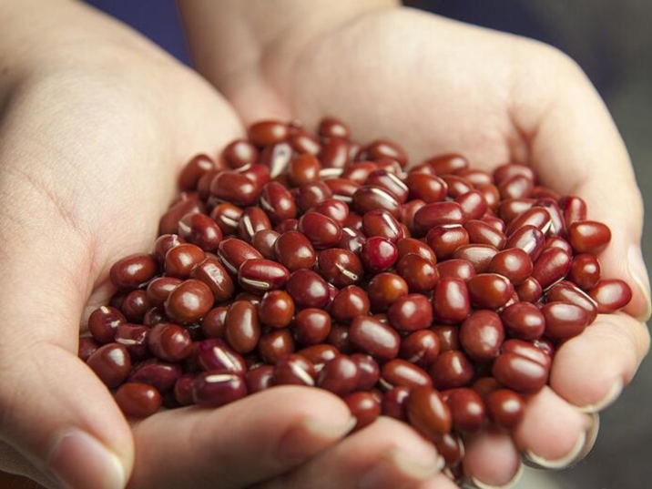 Recommended Food in Autumn