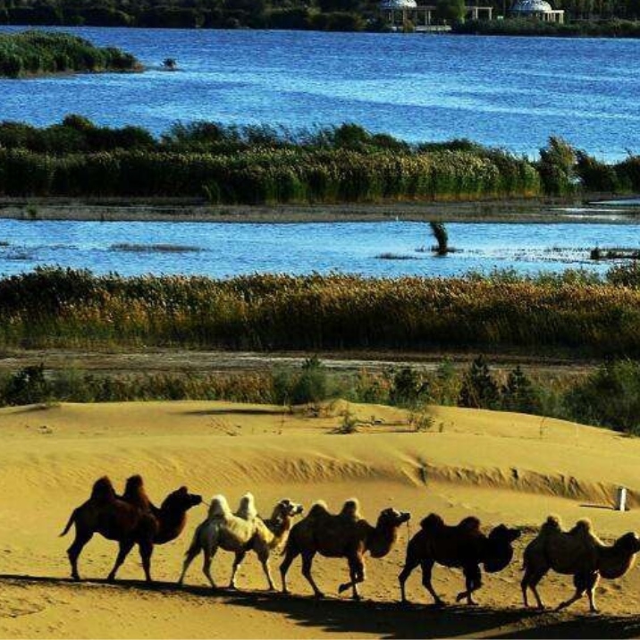 Seven Star Lake Desert