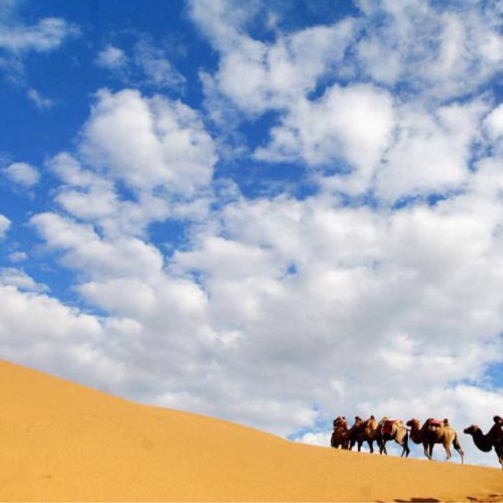 Kubuqi Desert
